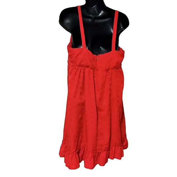 🗺️ Believe Petite Size 10P Pioneer Dress Sundress, Eyelet Fabric, Lined Vintage - Picture 5 of 13